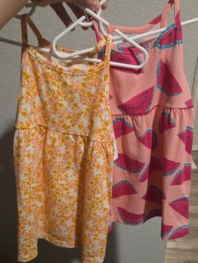 Carter's Watermelon And Floral Sundresses